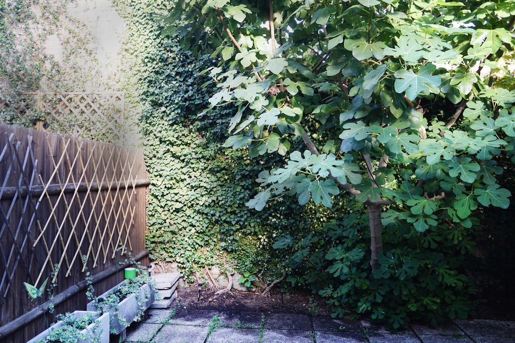 La Maisonette Et Son Jardin เวนิส ภายนอก รูปภาพ